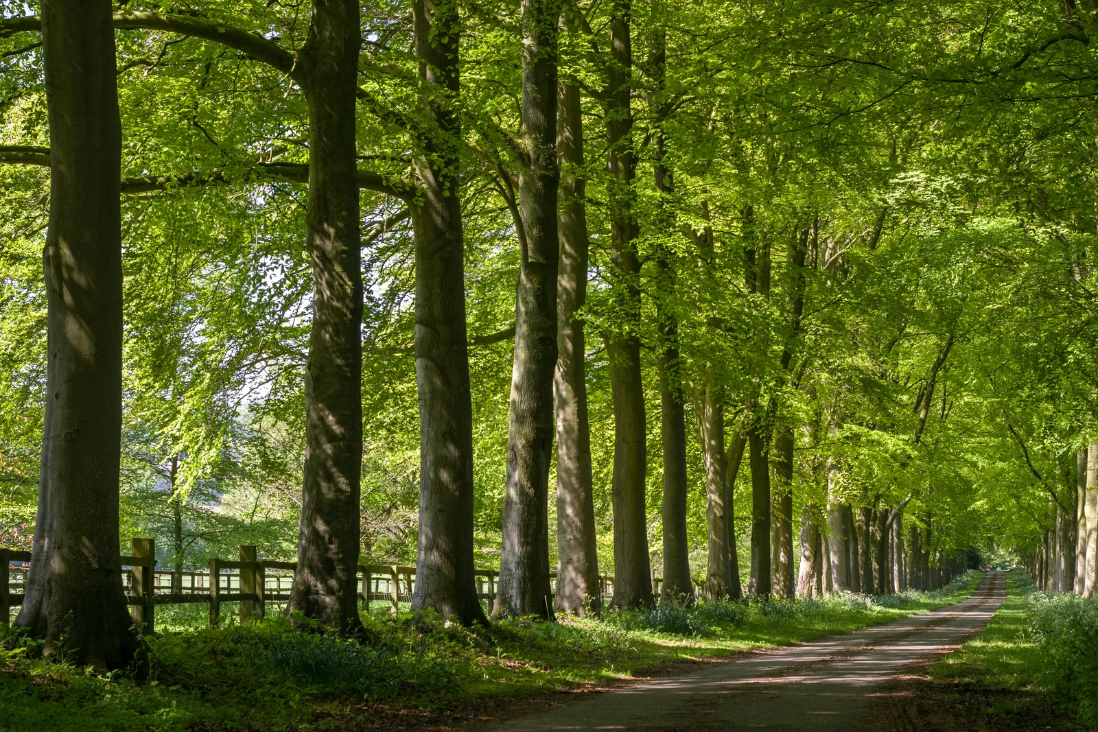 Buckinghamshire, England