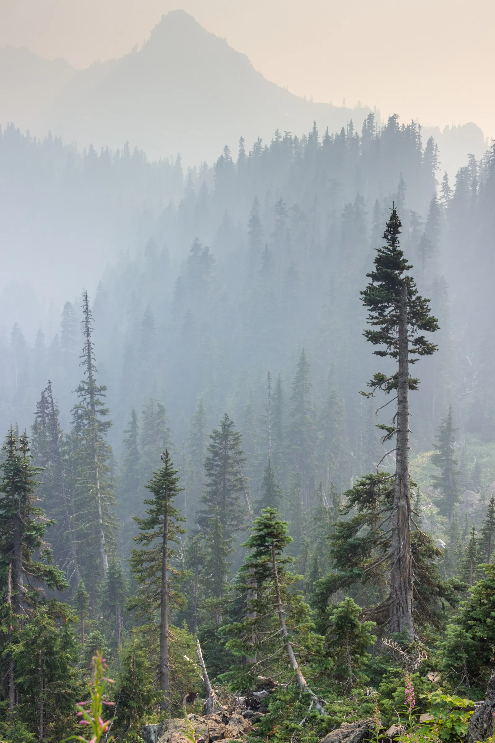Olympic National Park, Washington
