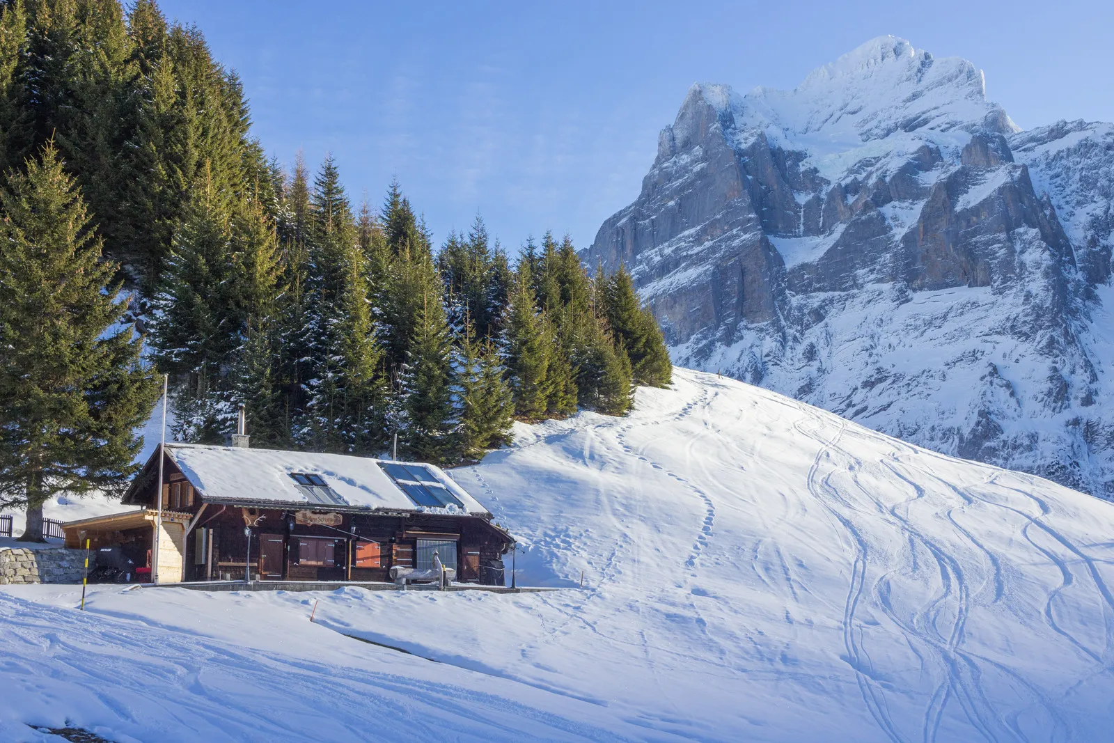 Wetterhorn, Berner Oberland