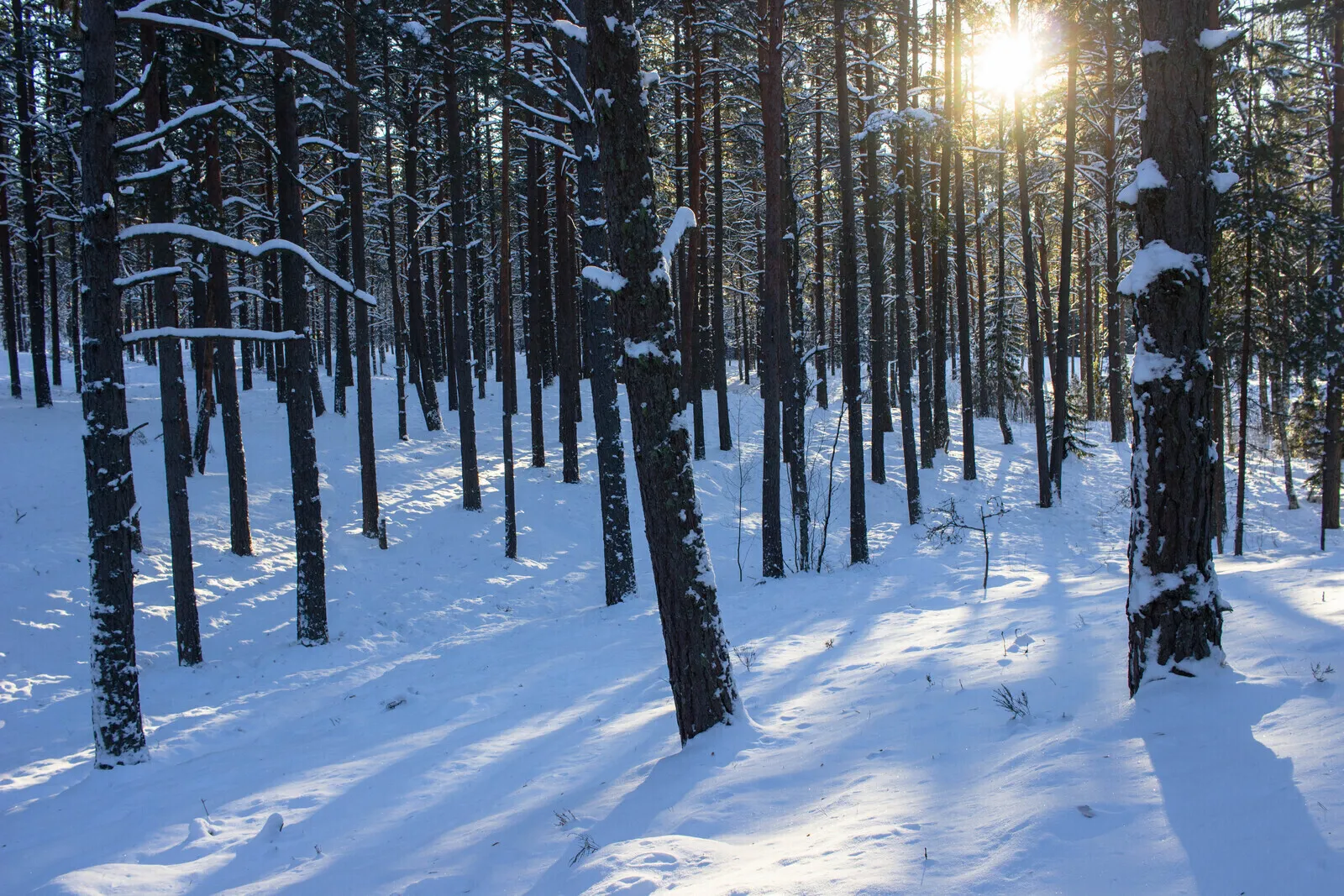 Latvia